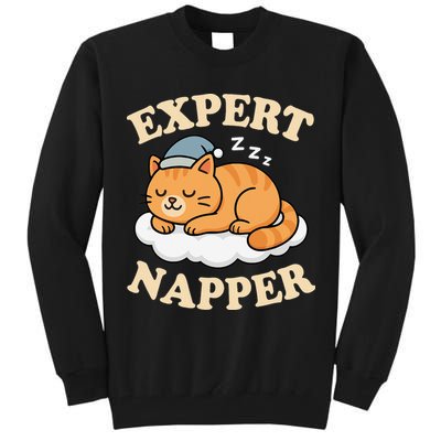 Cat Expert Napper Funny Kitty Sarcasm Humor Cat Saying Tall Sweatshirt