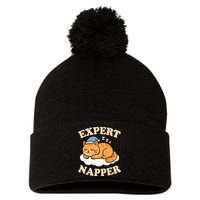 Cat Expert Napper Funny Kitty Sarcasm Humor Cat Saying Pom Pom 12in Knit Beanie