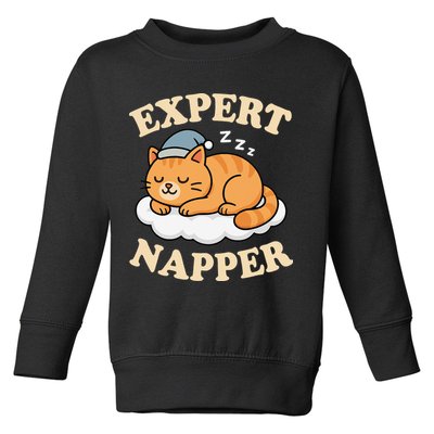 Cat Expert Napper Funny Kitty Sarcasm Humor Cat Saying Toddler Sweatshirt