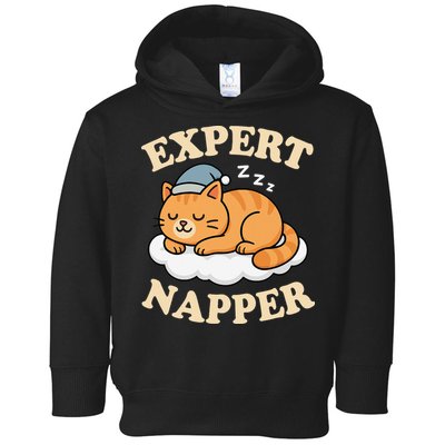 Cat Expert Napper Funny Kitty Sarcasm Humor Cat Saying Toddler Hoodie