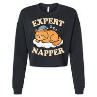Cat Expert Napper Funny Kitty Sarcasm Humor Cat Saying Cropped Pullover Crew