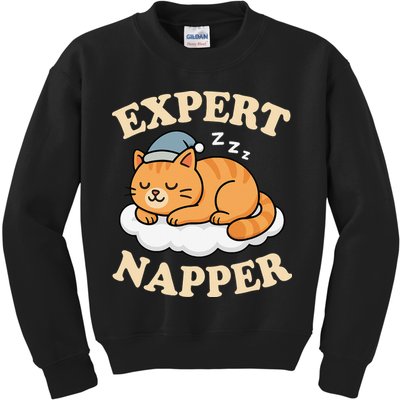 Cat Expert Napper Funny Kitty Sarcasm Humor Cat Saying Kids Sweatshirt