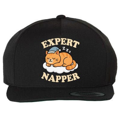 Cat Expert Napper Funny Kitty Sarcasm Humor Cat Saying Wool Snapback Cap