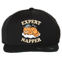 Cat Expert Napper Funny Kitty Sarcasm Humor Cat Saying Wool Snapback Cap
