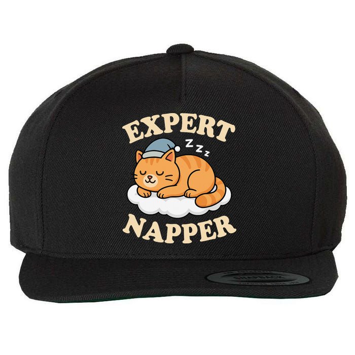Cat Expert Napper Funny Kitty Sarcasm Humor Cat Saying Wool Snapback Cap
