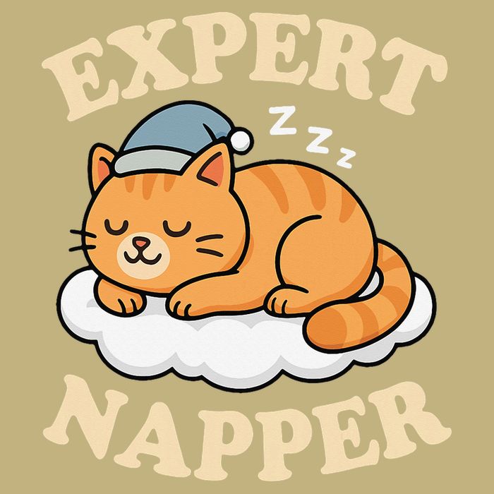Cat Expert Napper Funny Kitty Sarcasm Humor Cat Saying Button