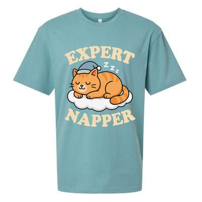 Cat Expert Napper Funny Kitty Sarcasm Humor Cat Saying Sueded Cloud Jersey T-Shirt