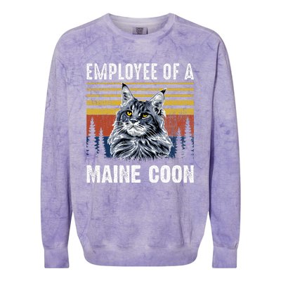 Cat Employee Of A Mine Coon Colorblast Crewneck Sweatshirt