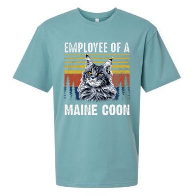 Cat Employee Of A Mine Coon Sueded Cloud Jersey T-Shirt