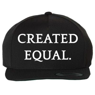 Created Equal Pay Pride Hu Rights Equality Activist Gift Wool Snapback Cap