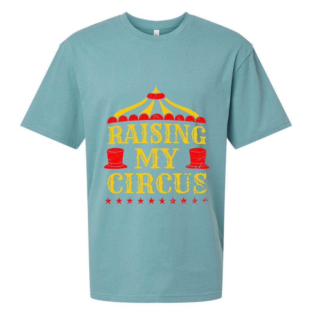Circus Event Staff Carnival Lover Ringmaster Ringleader Gift Sueded Cloud Jersey T-Shirt