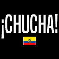 Chucha Ecuadorian Slang Ecuador Visor