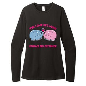 Cute Elephant The Love Between Aunt And Niece Funny Gift Womens CVC Long Sleeve Shirt