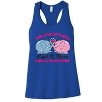 Cute Elephant The Love Between Aunt And Niece Funny Gift Women's Racerback Tank