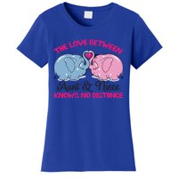 Cute Elephant The Love Between Aunt And Niece Funny Gift Women's T-Shirt