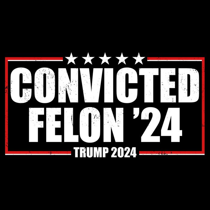 Convicted Felon 24 Trump 2024 Cropped Pullover Crew