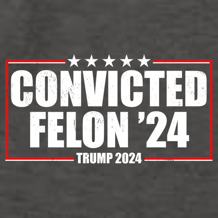 Convicted Felon 24 Trump 2024 Vector Backpack