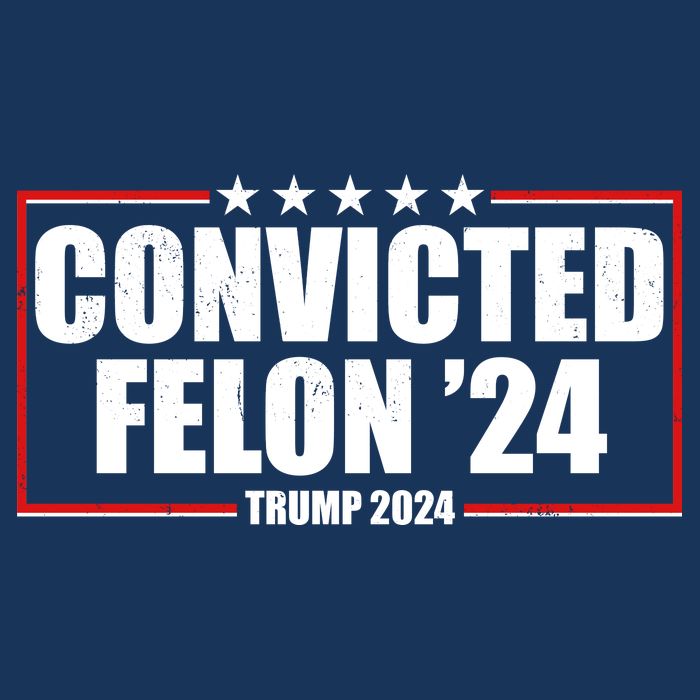 Convicted Felon 24 Trump 2024 Women's V-Neck T-Shirt