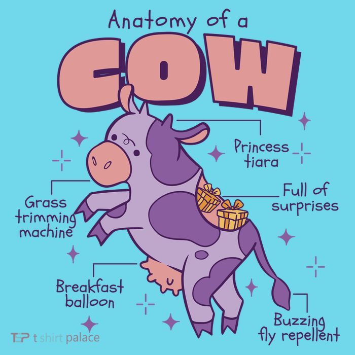 Cow Funny Anatomy T-Shirt