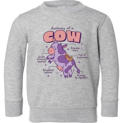 Cow Funny Anatomy Toddler Sweatshirt