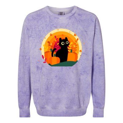 Cute Fall Autumn Lover Black Cat And Pumpkins Colorblast Crewneck Sweatshirt