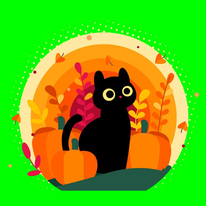 Cute Fall Autumn Lover Black Cat And Pumpkins Magnet