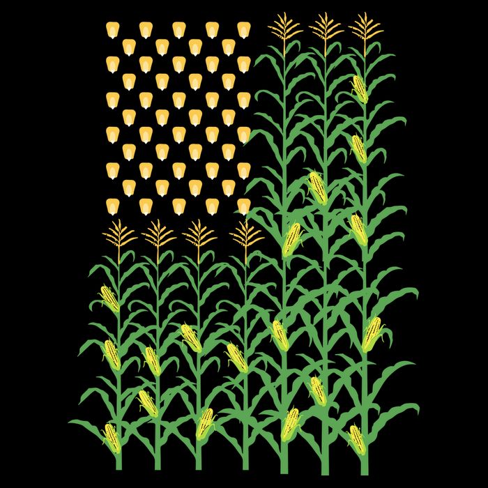 Corn Farmer American Flag Crop Farmers Farm Farming Gift Zip Tote Bag
