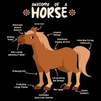 Cute Funny Anatomy Of A Horse Diagram City Backpack
