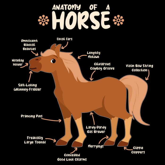Cute Funny Anatomy Of A Horse Diagram City Backpack