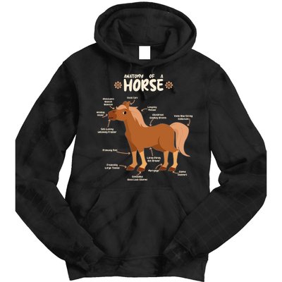 Cute Funny Anatomy Of A Horse Diagram Tie Dye Hoodie