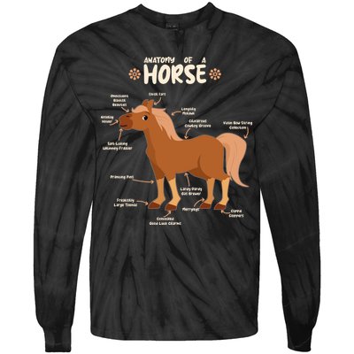 Cute Funny Anatomy Of A Horse Diagram Tie-Dye Long Sleeve Shirt