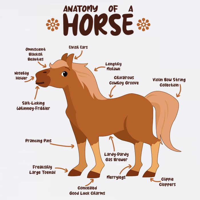 Cute Funny Anatomy Of A Horse Diagram Cooling Performance Crew T-Shirt