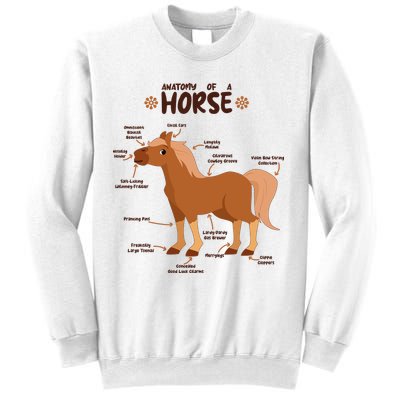 Cute Funny Anatomy Of A Horse Diagram Sweatshirt