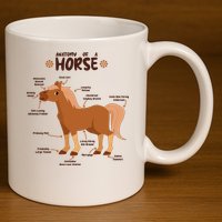 Cute Funny Anatomy Of A Horse Diagram 11oz C Handle Ceramic Mug