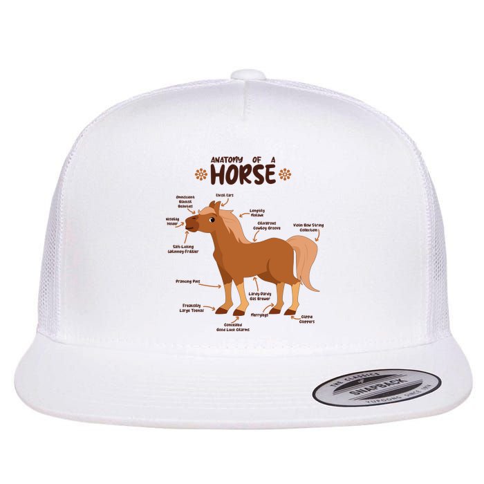 Cute Funny Anatomy Of A Horse Diagram Flat Bill Trucker Hat