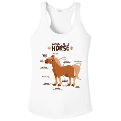 Cute Funny Anatomy Of A Horse Diagram Ladies PosiCharge Competitor Racerback Tank