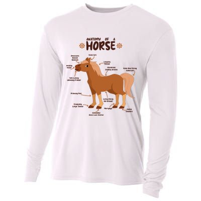 Cute Funny Anatomy Of A Horse Diagram Cooling Performance Long Sleeve Crew