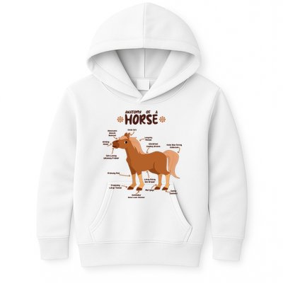 Cute Funny Anatomy Of A Horse Diagram Kids Hoodie