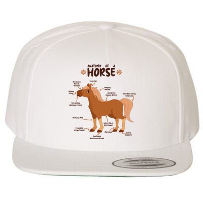 Cute Funny Anatomy Of A Horse Diagram Wool Snapback Cap