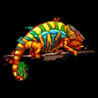 Chameleon From A Splash 16 in Basic Backpack