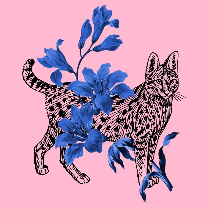 Cat Flower Art Cute Womens T-Shirt