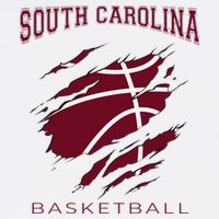 Carolinas Fan Apparel Hoops Gear South Carolina Basketball Tall T-Shirt
