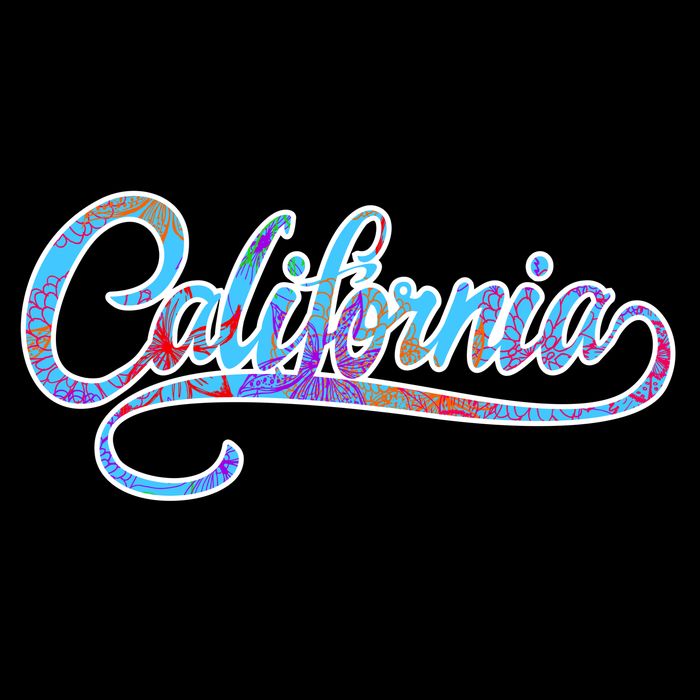 California Flower And Palm Mesh Reversible Basketball Jersey Tank