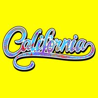 California Flower And Palm Magnet