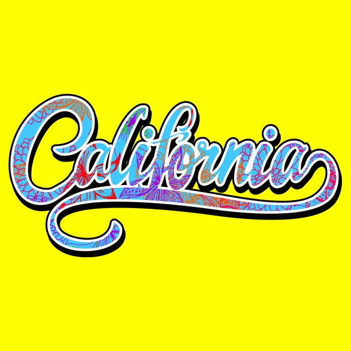California Flower And Palm Magnet
