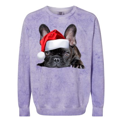 Cute French Bulldog Santa Hat Frenchie Image Christmas Gift Colorblast Crewneck Sweatshirt