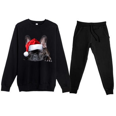 Cute French Bulldog Santa Hat Frenchie Image Christmas Gift Premium Crewneck Sweatsuit Set