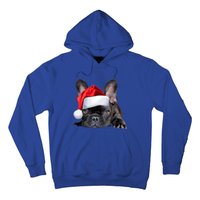 Cute French Bulldog Santa Hat Frenchie Image Christmas Gift Hoodie