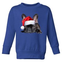 Cute French Bulldog Santa Hat Frenchie Image Christmas Gift Toddler Sweatshirt