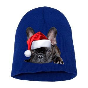 Cute French Bulldog Santa Hat Frenchie Image Christmas Gift Short Acrylic Beanie